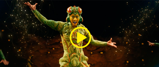 OVO: Cirque du Soleil 