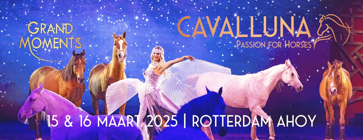 cava 2025 - grand moments banner