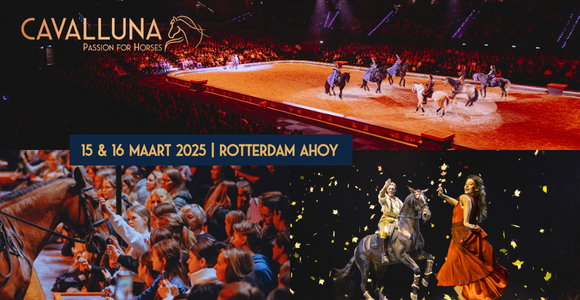 cava 2025 - grand moments banner